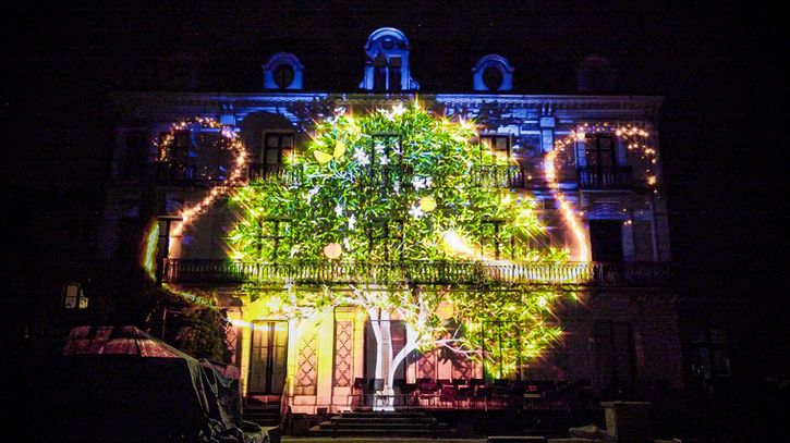 Pour clôturer ce spectacle de lumière, un majestueux arbre de lumière a pris racine sur la façade, symbolisant la pérennité de la magie et de l’innovation. Ce tableau final a mêlé la technologie moderne et la magie traditionnelle, illustrant le lien entre nature et illusion.