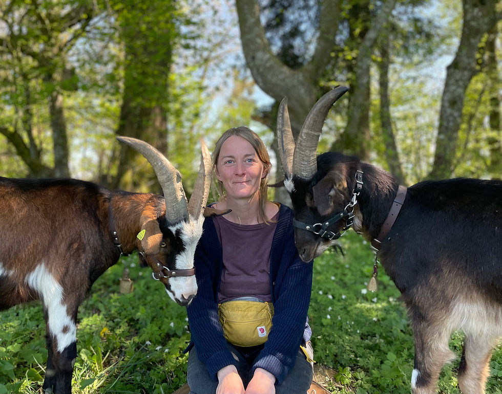 🐐 NEWS - Wandern mit Ziegen: Wir kommen im BR Fernsehen