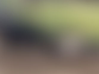 Official Boer name, Graphix, but why?