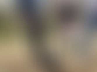 What just happened at this Baby Goat playdate?