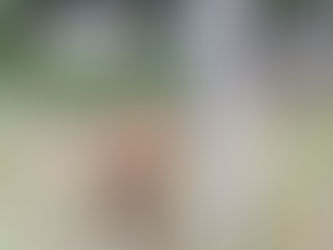 Got dapples, we do at Cotton Bean Gaot farm