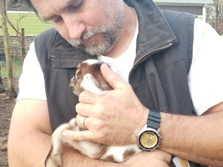 We have Mini Nubian and Boer goat, bottle babies!