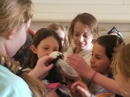 Challenge, Post your video of your kids singing the 12 days of Goatmas, lyrics inside!