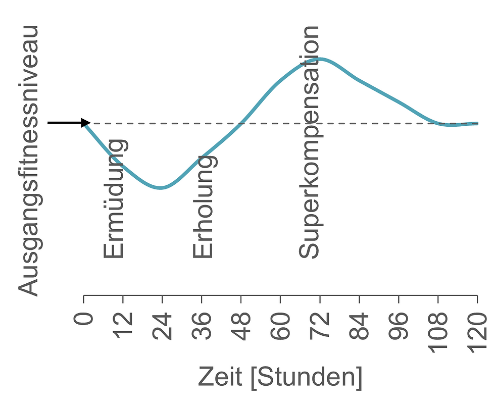 Superkompensation