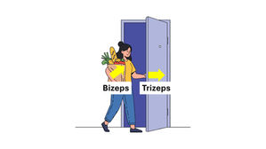 Alltagsbewegungen Bizeps und Trizeps