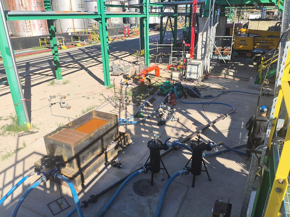 WhatsApp Image 2026-03-13 at 16.28.10 (1)