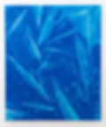 Bastienne Schmidt, Blue Botanicals, 2025