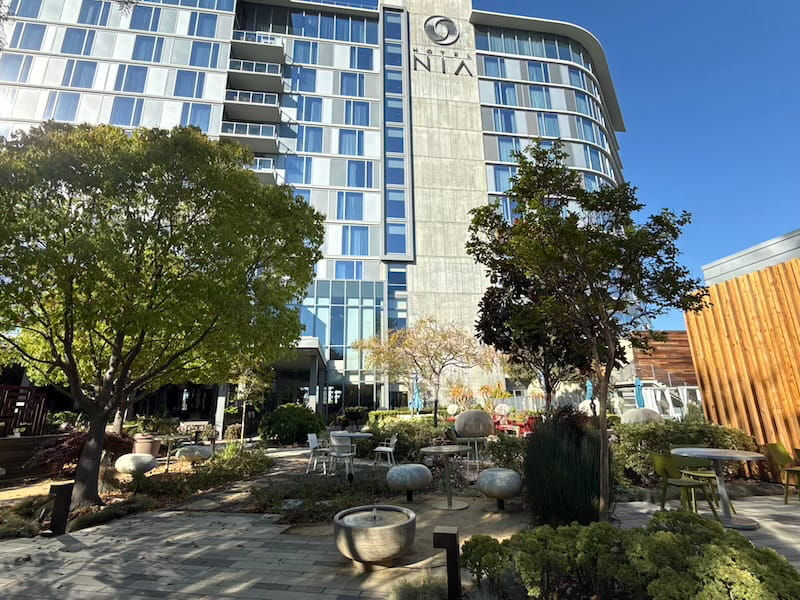 Credit: Vanessa Gordon