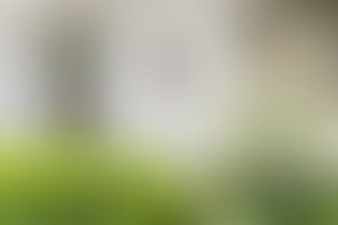 Hotel Mediterraneo wedding garden side