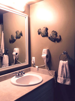 10WhistlerMasterBathA