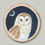 Thumbnail: ORIGINAL Barn Owl Night