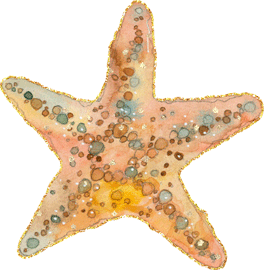 1504235538_2420-morskaya-zvezda.gif