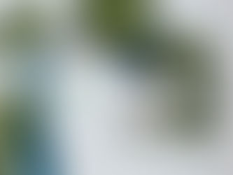 Questions and Answers