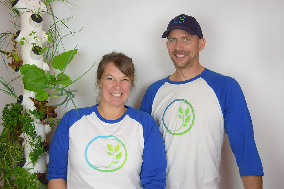 Introduction to Aeroponics and Home Growing