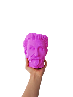 Pink Einstein_edited.png