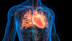 Heart Failure: Disease, Prevention, Treatment, and Management Across Diverse Adult Demographics