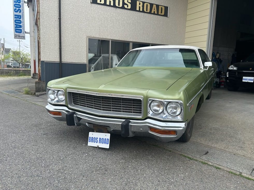 ダッジ　ポラーラ318　V8　リアモンローエアーショック （グリーン）