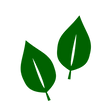 茶葉_edited.png