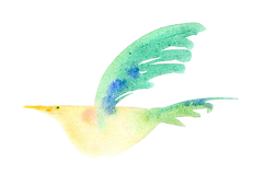 緑の鳥のイラスト