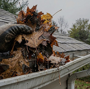 cleaning leaves out of a gutter