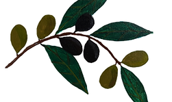Olives.png