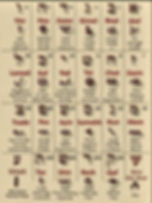 The Aleph Bet