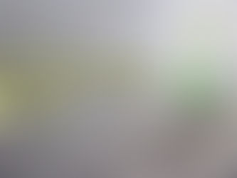 PER UNA COMUNITÀ SANA E FORTE OCCORRE CREARE E RAFFORZARE ANTICORPI E CAPACITÀ CRITICA