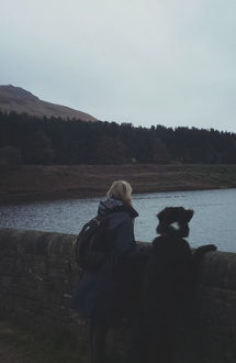 processing geo with dog