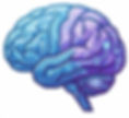 brain 2_edited.jpg