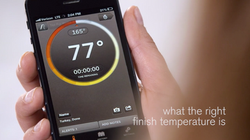 Williams-Sonoma Smart Thermometer