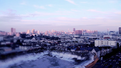 Genus and the Thieves