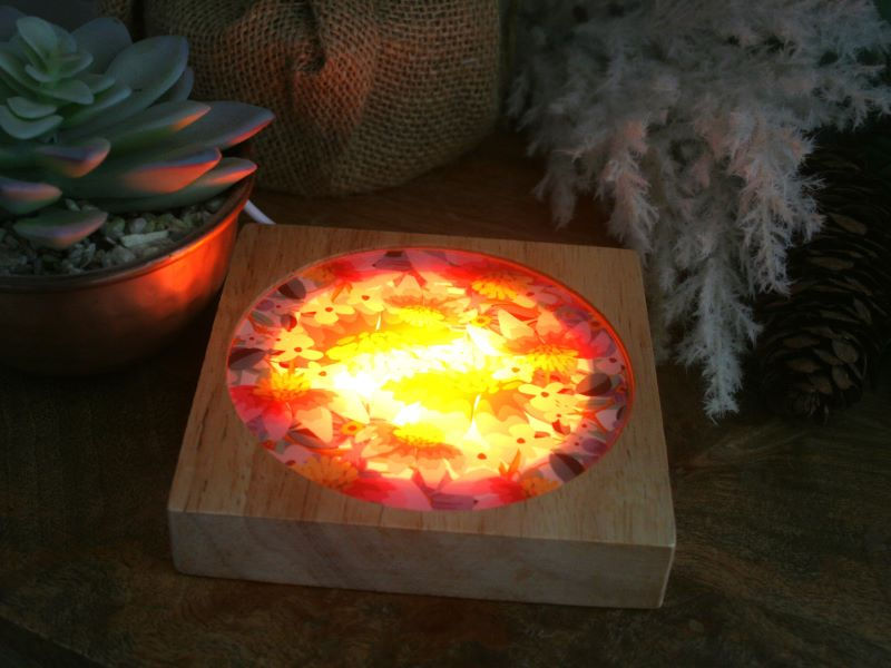 Thumbnail: Mini Echinacea Light Up Coaster