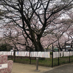 写真 2022-03-28 11 02 22.jpg