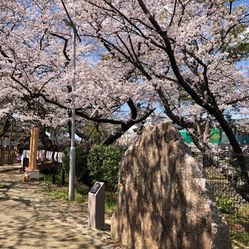 写真 2022-03-27 12 26 28.jpg