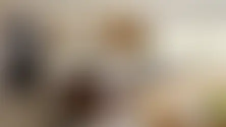 Adegas compactas: um espaço sofisticado para seus vinhos