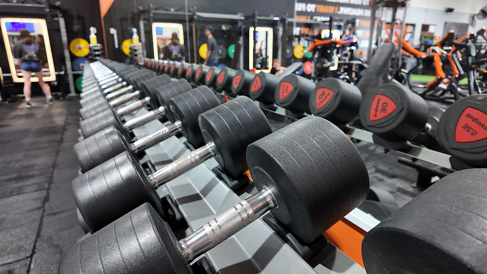 airlie fitness dumbells.jpeg