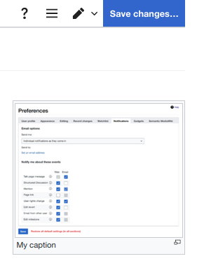 Image is inserted into wiki