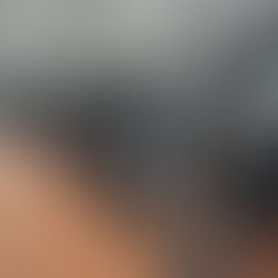 その「1色の選択」が、ジムの格を決める。