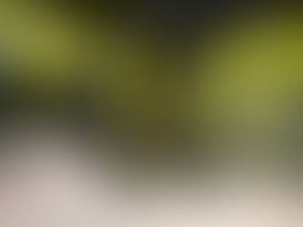 ジムのイメージカラーに合わせて