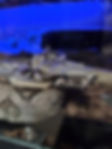 20250823_130336.jpg