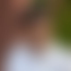 Fadnavis Resignation Hint Tied to Yogi Adityanath, Says Sanjay Raut