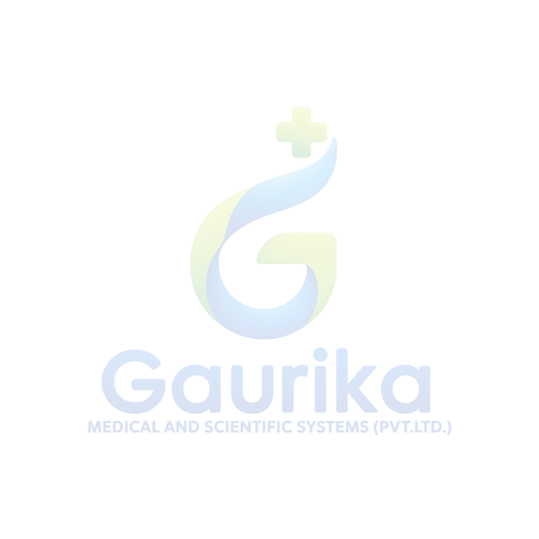Logo Bg.png
