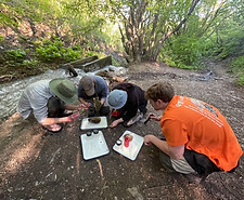 Students scanning the surface of a rock pulled from the stream to find macroinvertebrates