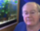 David Ramsey - Fish Room on a Budget