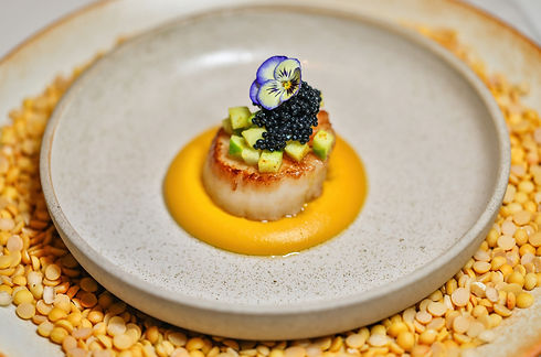 Scallop.jpg