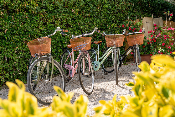 Bici di Villino Claudia casa vacanze per muoversi in liberta tra luoghi e negozi di Forte dei Marmi