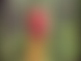 DIY#13 Tonique pour visage (peau acnéique à tendance grasse)