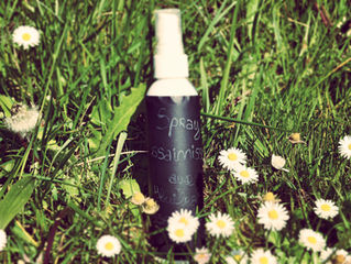 DIY#9 Spray Assainissant