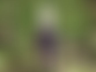 DIY#9 Spray Assainissant