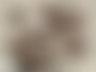 3D-gedruckte Propeller vorbereiten